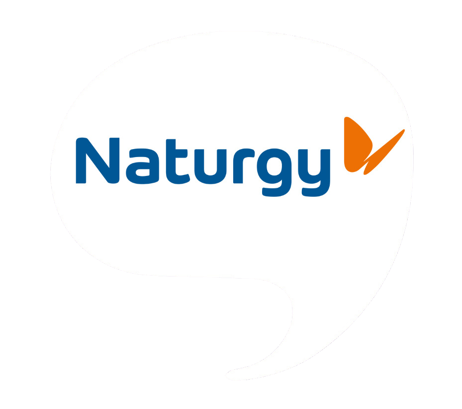 naturgy Logo